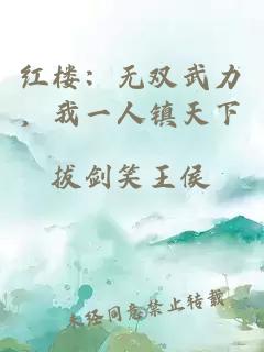 红楼：无双武力，我一人镇天下