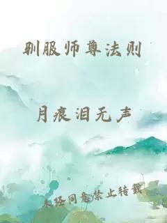 驯服师尊法则