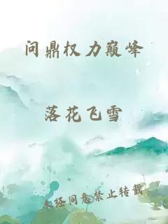 问鼎权力巅峰